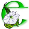 Emerald Isle Logo