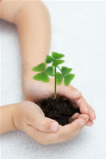 Growing our Irish Culture