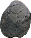 irish history